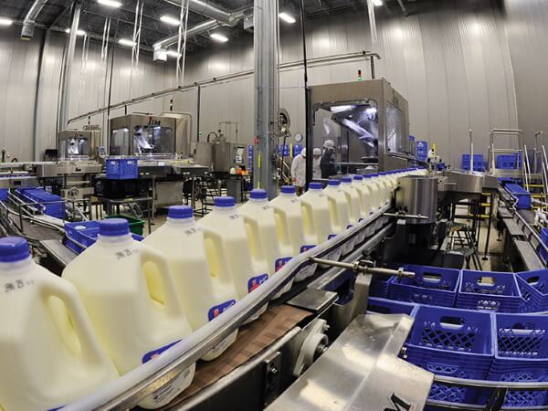 Use of animal protein in dairy products